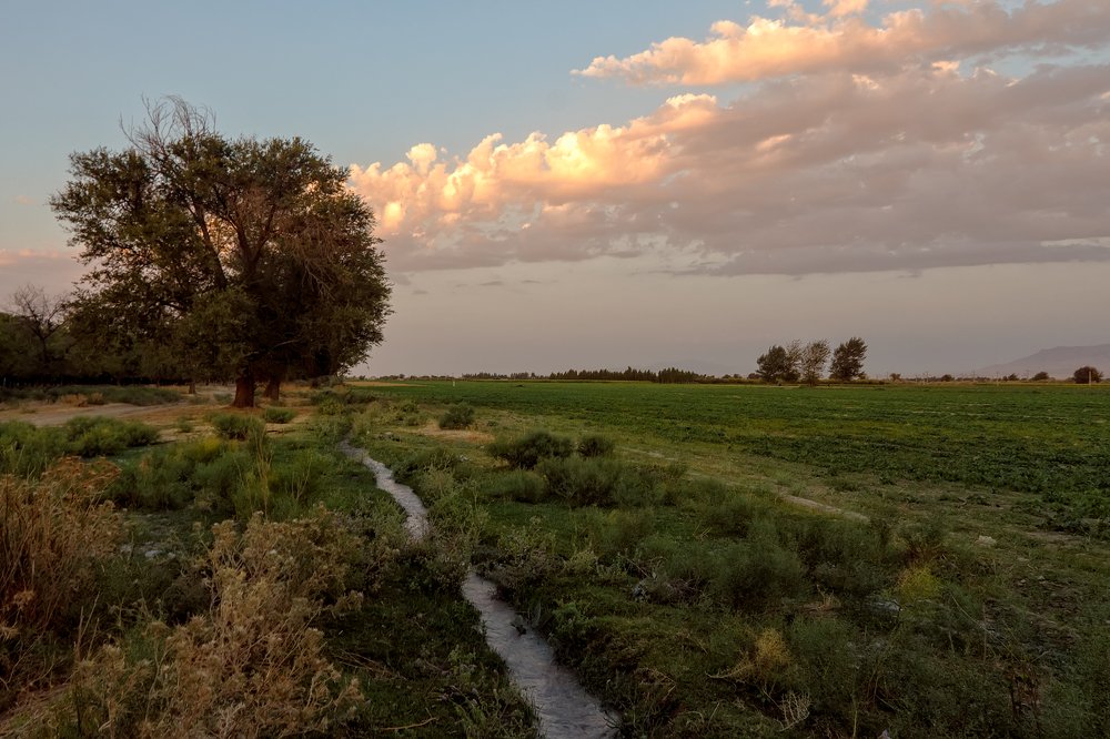 Photograph by Чунина Наталья