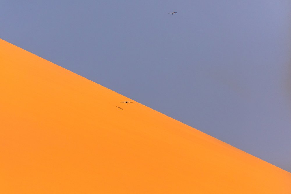 Photograph by Leszek