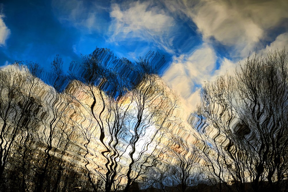 Photograph by Екатерина Коломыцева