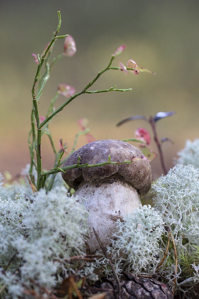 Photograph by Владислава Христенко