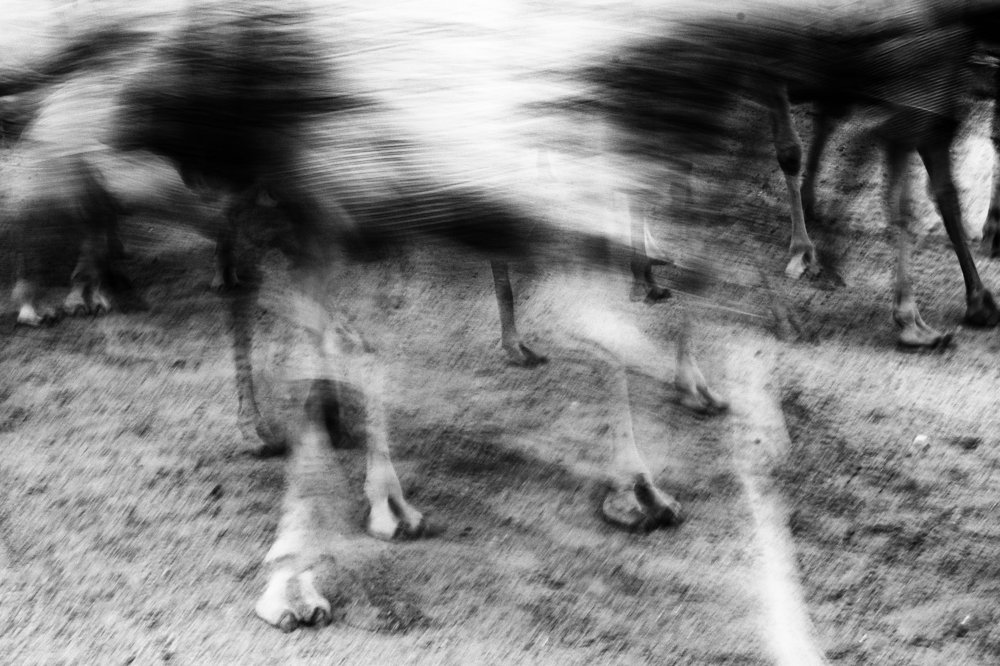 Photograph by Ajeesh Puthiyadath