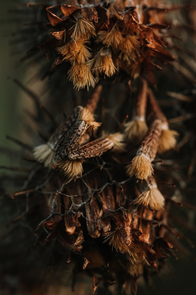 Photograph by Мария Янковская