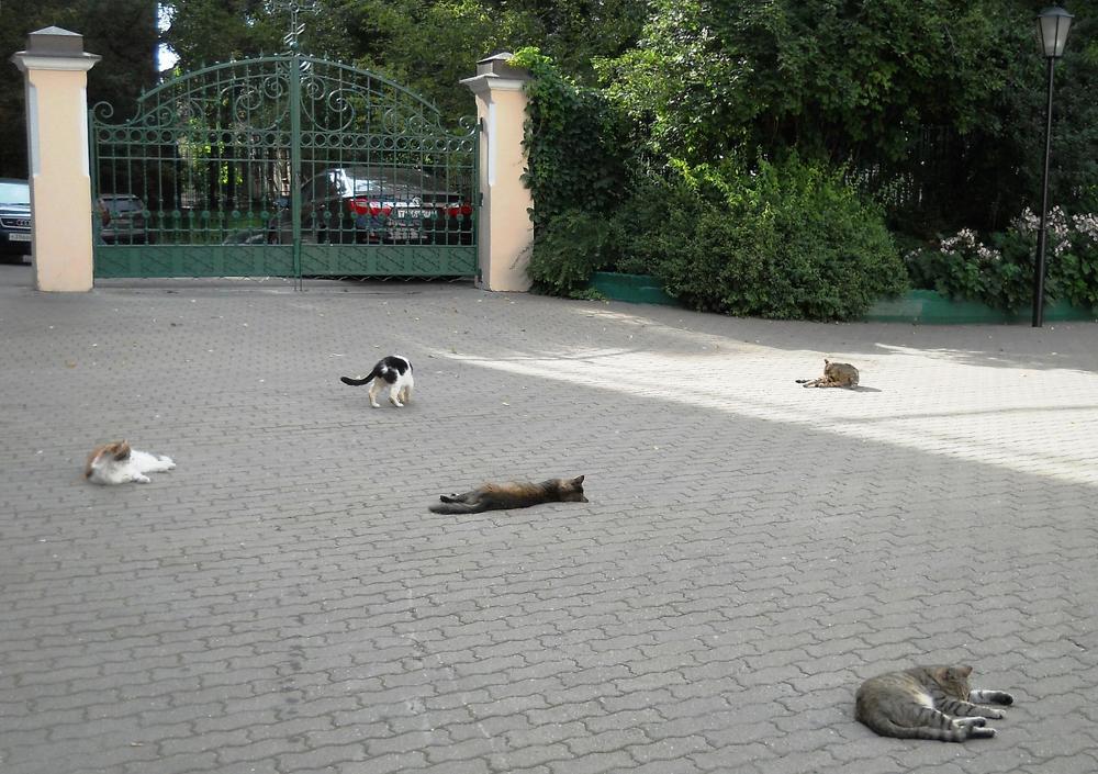 Photograph by Анна Цымбал