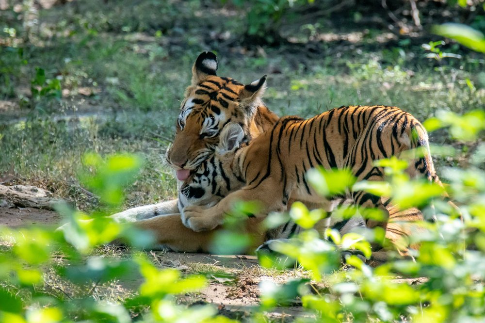 Photograph by Shantanu Mukherjee