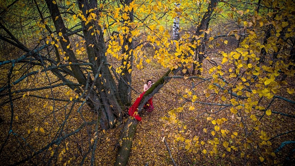 Photograph by Колабухин Андрей