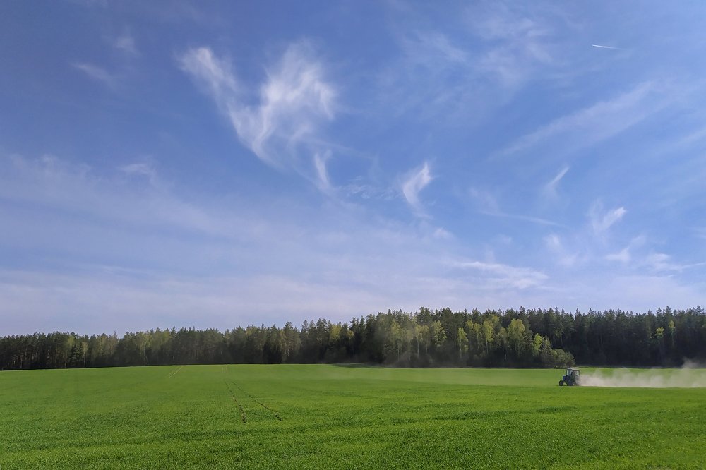 Photograph by Татьяна Мельник