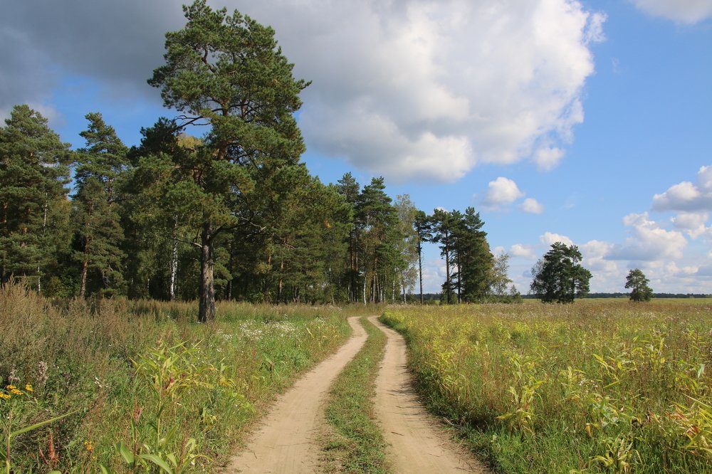 Сельская дорога
