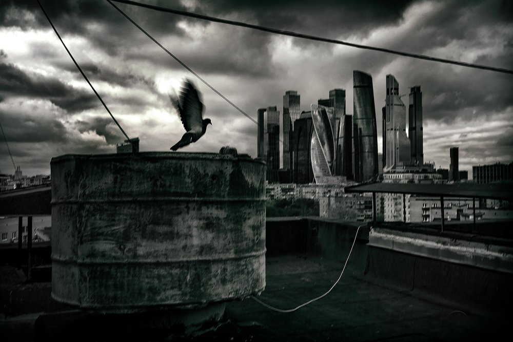 View from the roof...