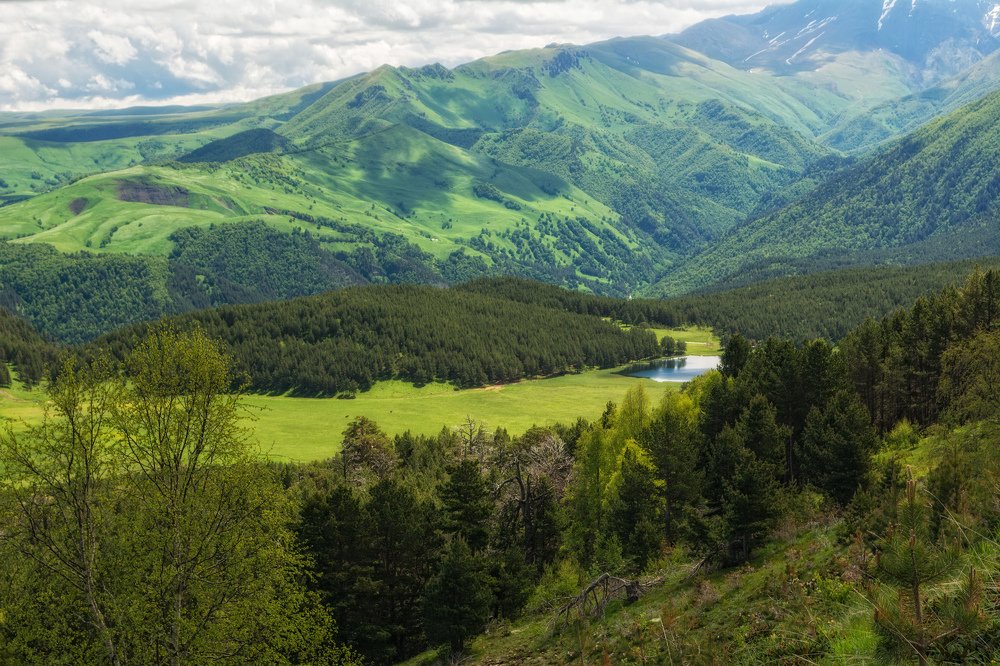 Photograph by Елена Ковалева