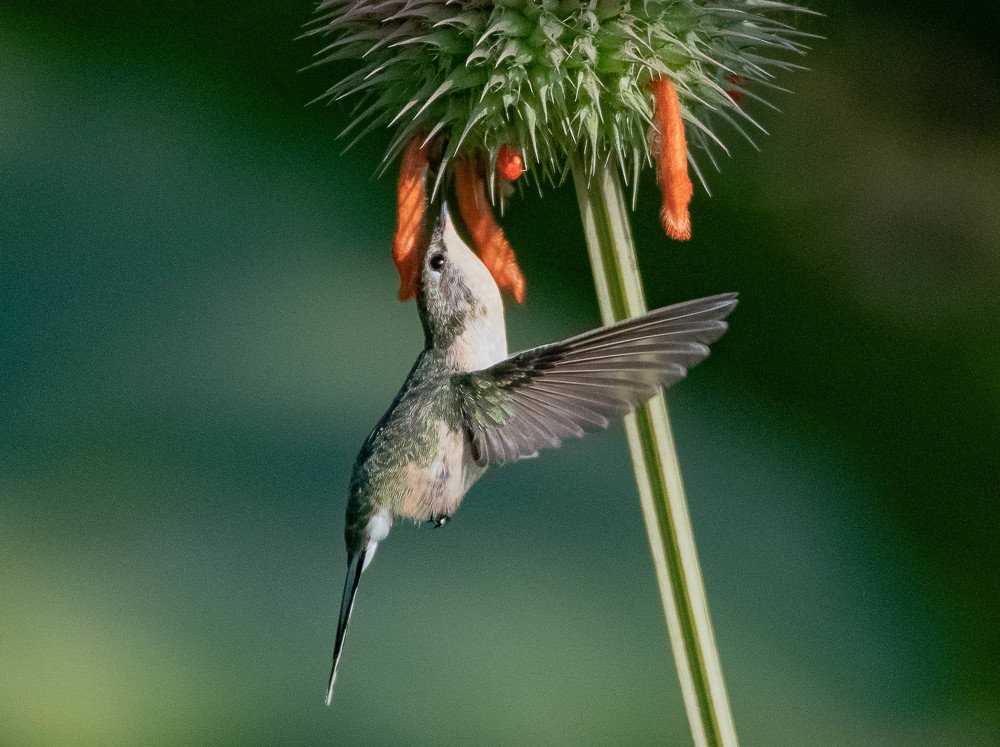 Photograph by sepulveda miguel