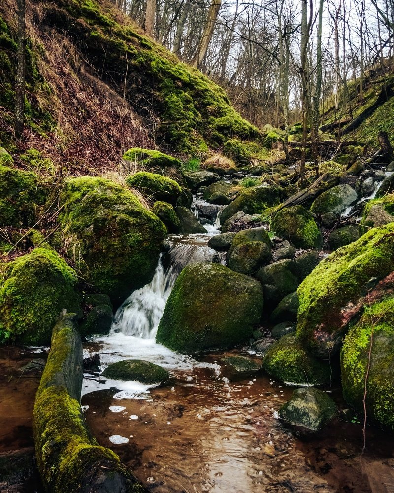 Photograph by Олег Букин