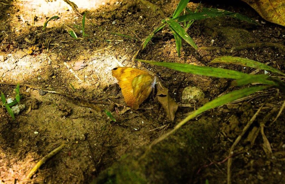 Photograph by keilly Villela