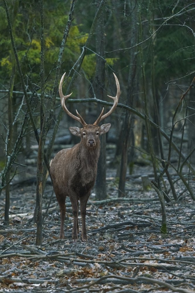 Photograph by Константин Кукушкин