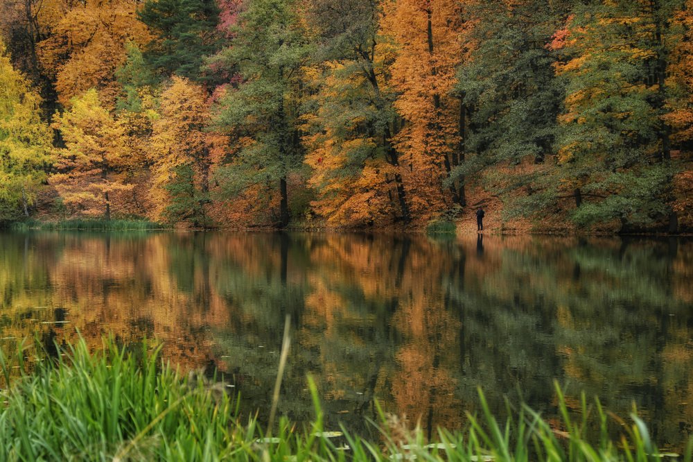 Осень в Кузьминках