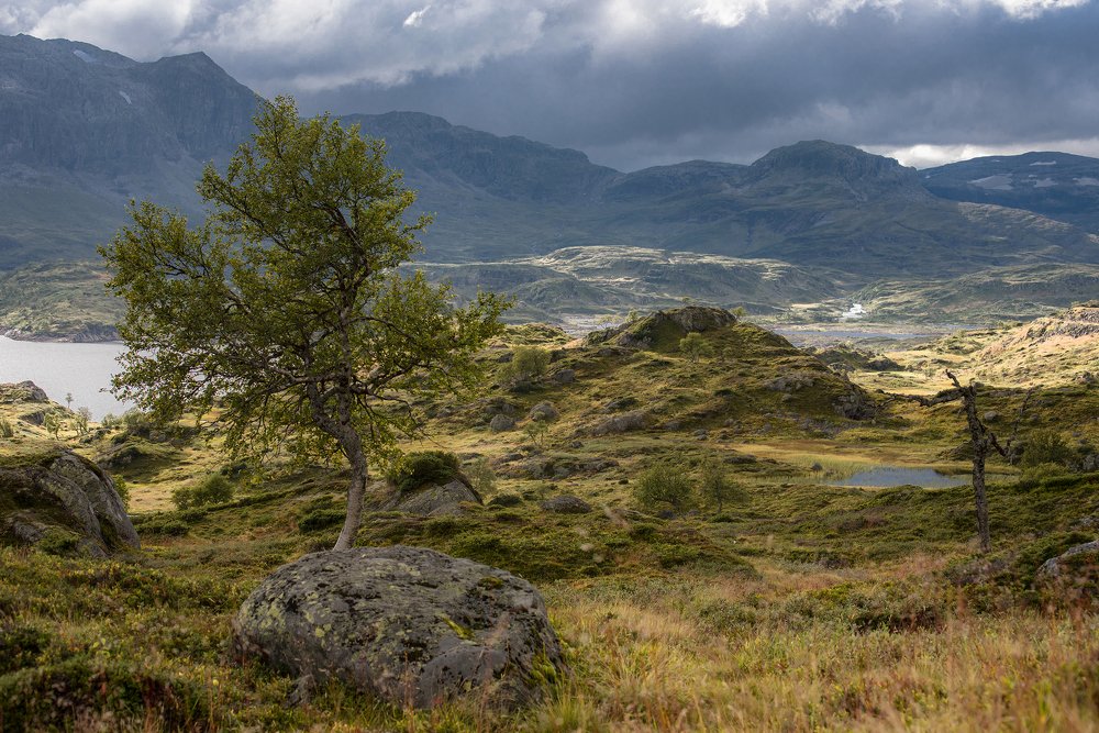 Photograph by Рустам Афлятунов