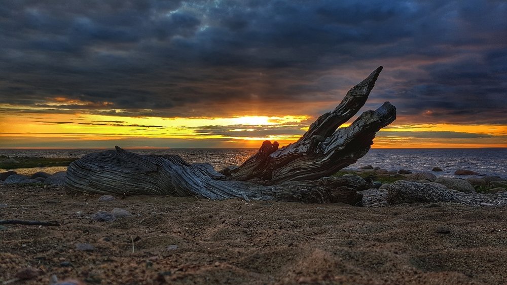 Photograph by Ирина Шумкова