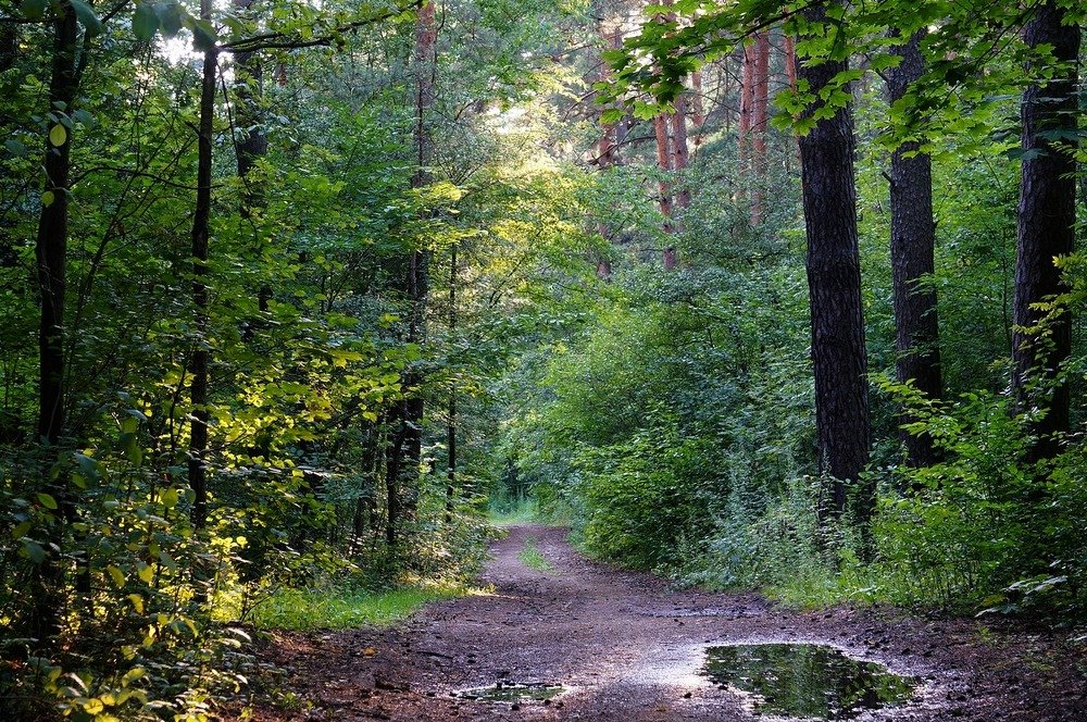 Фотография автора Valery Bel@kov