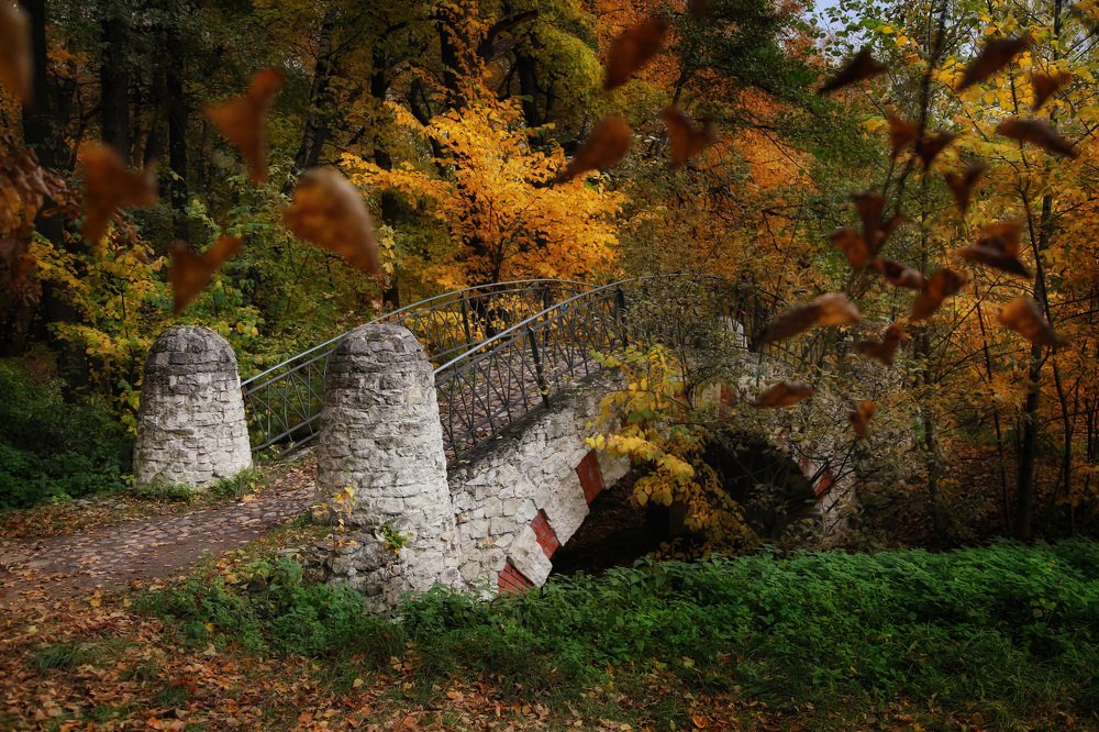 В Кузьминках