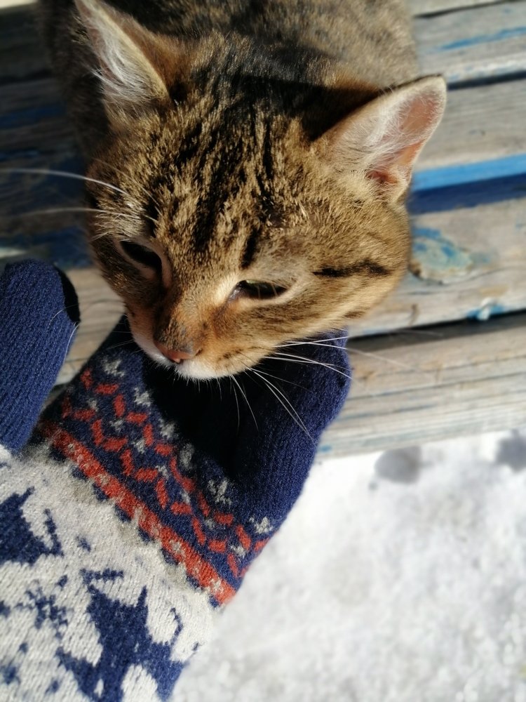 Photograph by София Саитова