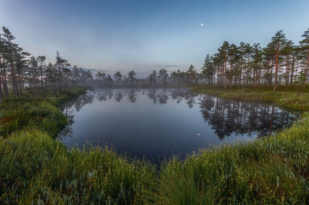 Фотография автора Елена Маковоз