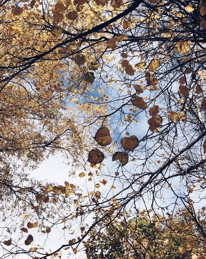 Фотография автора Мария Жукова