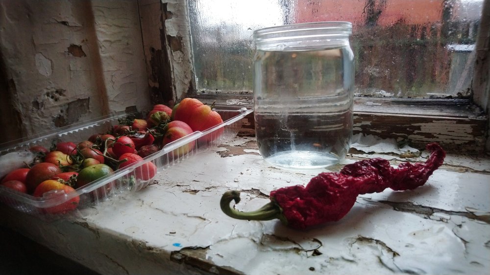 Photograph by Ольга Аристова