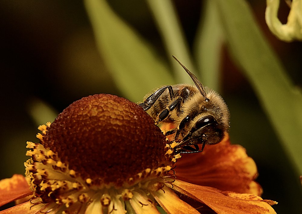 Photograph by Виктор Ноговицин