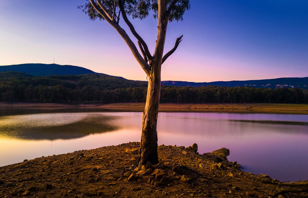 Фотография автора ghassen