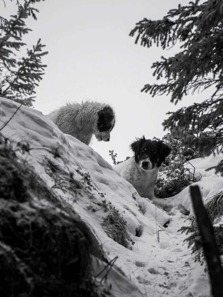 Photograph by Matei Mardare