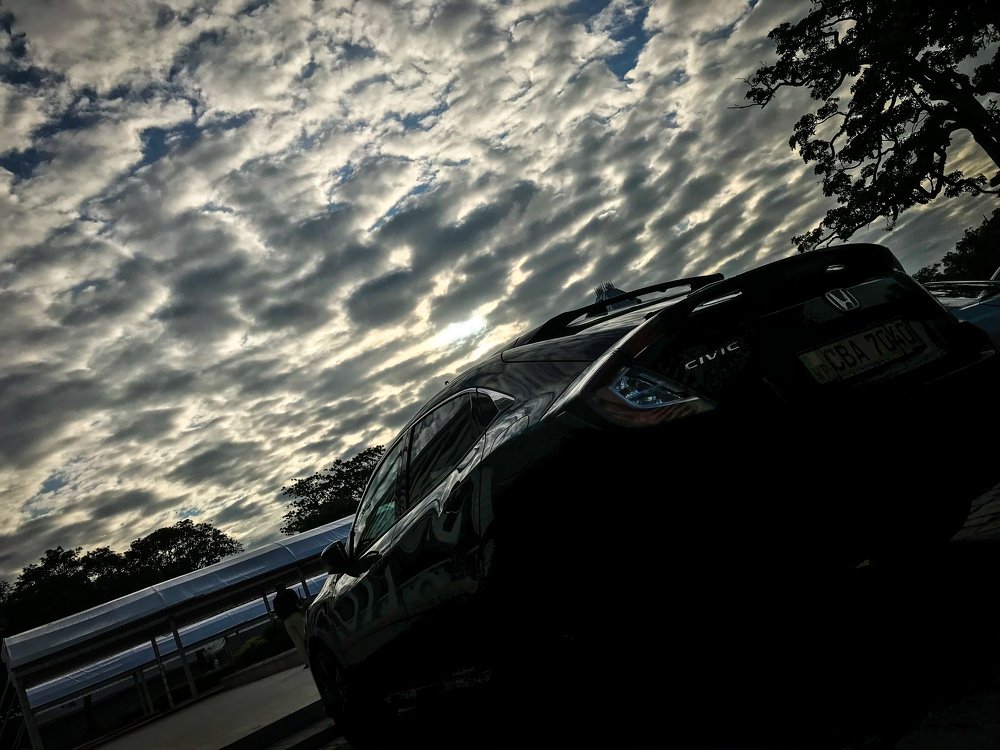 Under the cotton sky