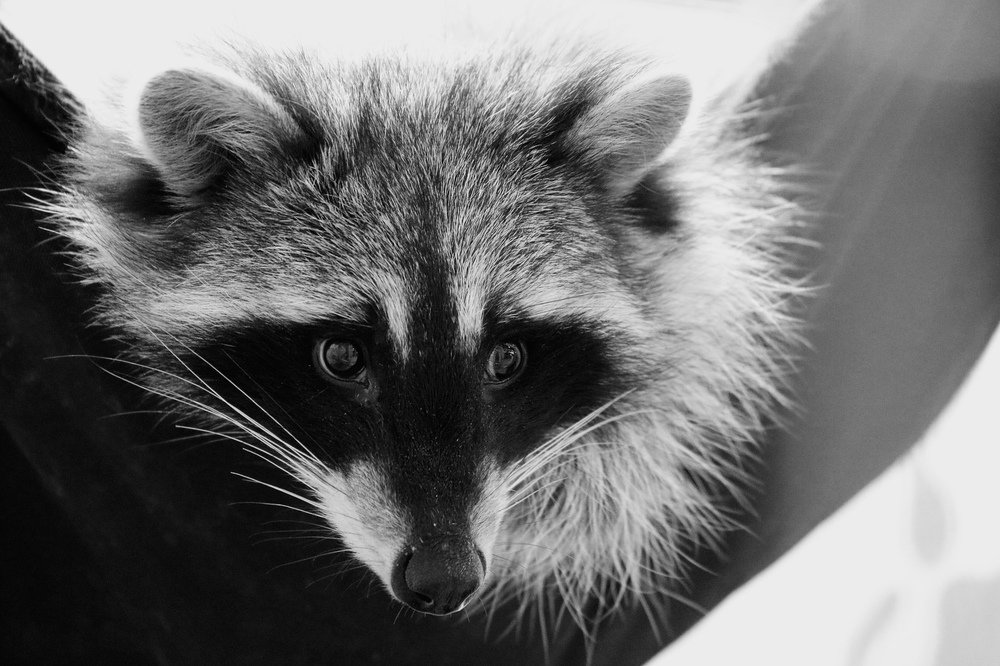 Photograph by Юлия