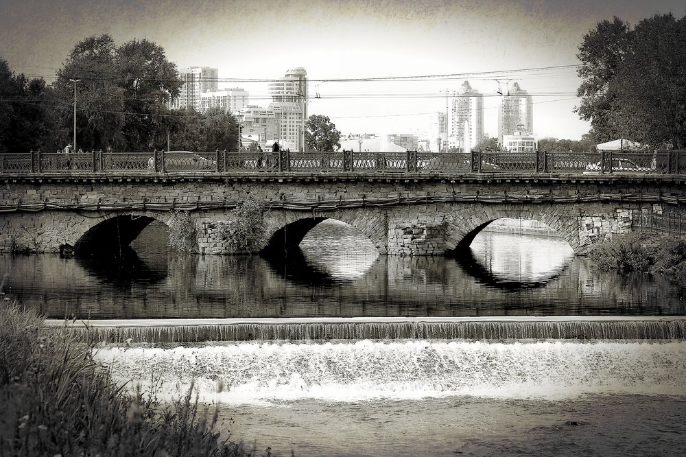 Photo #4430449