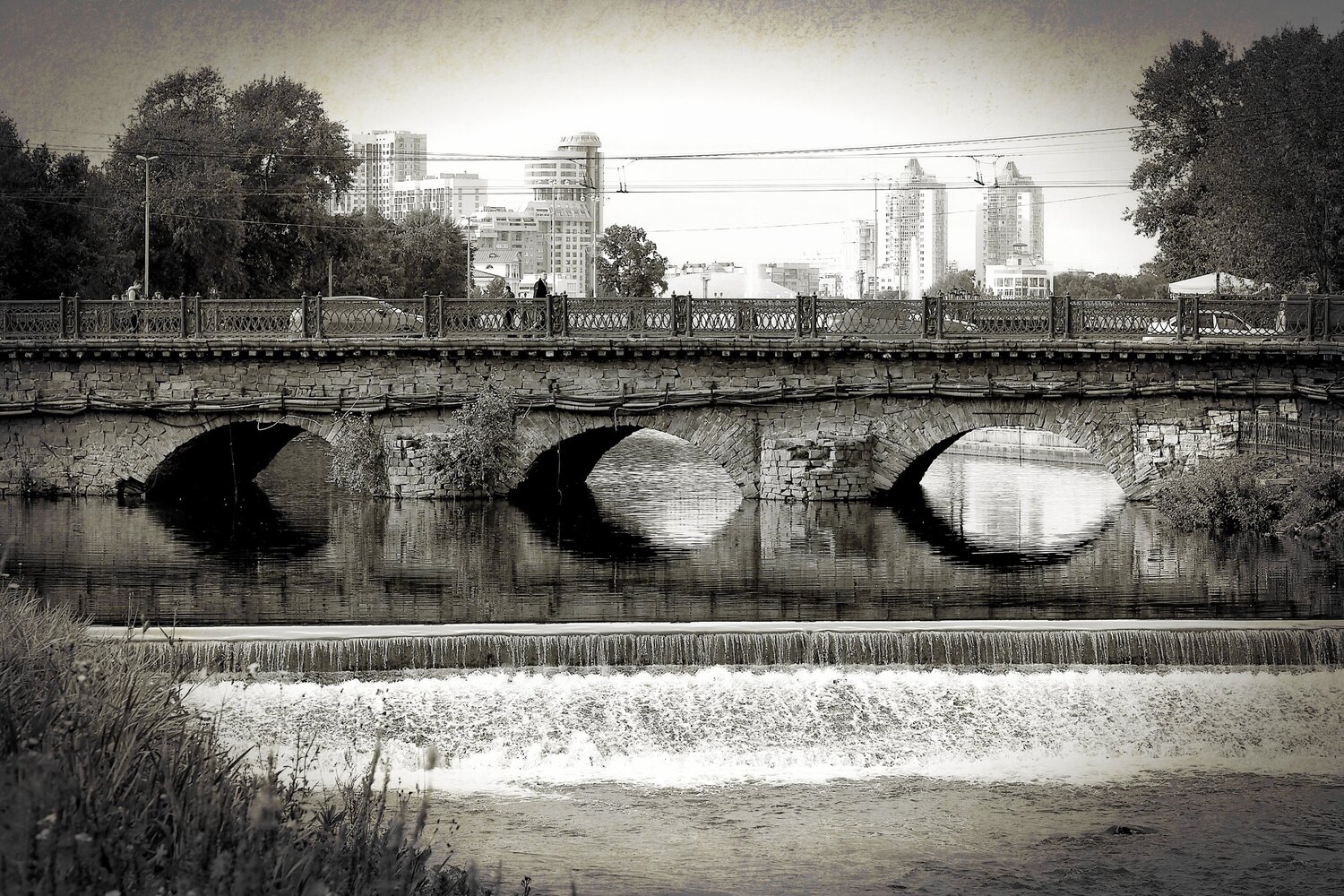 Photo #4430449