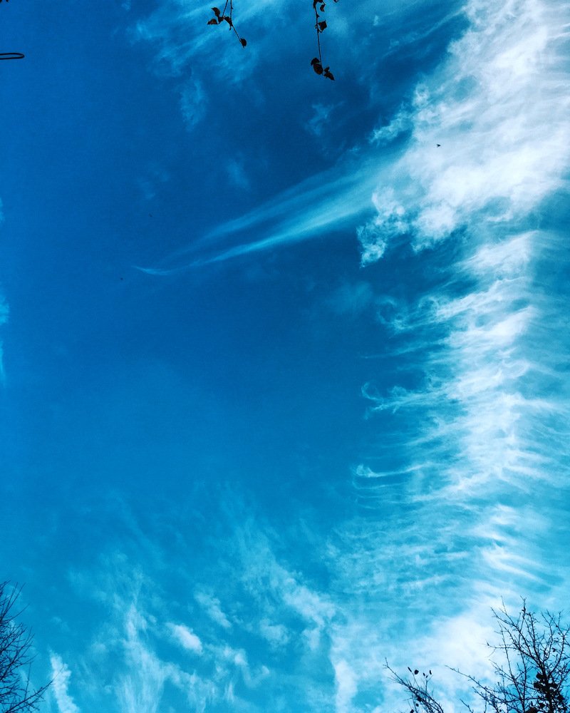 Photograph by Евгения Володина