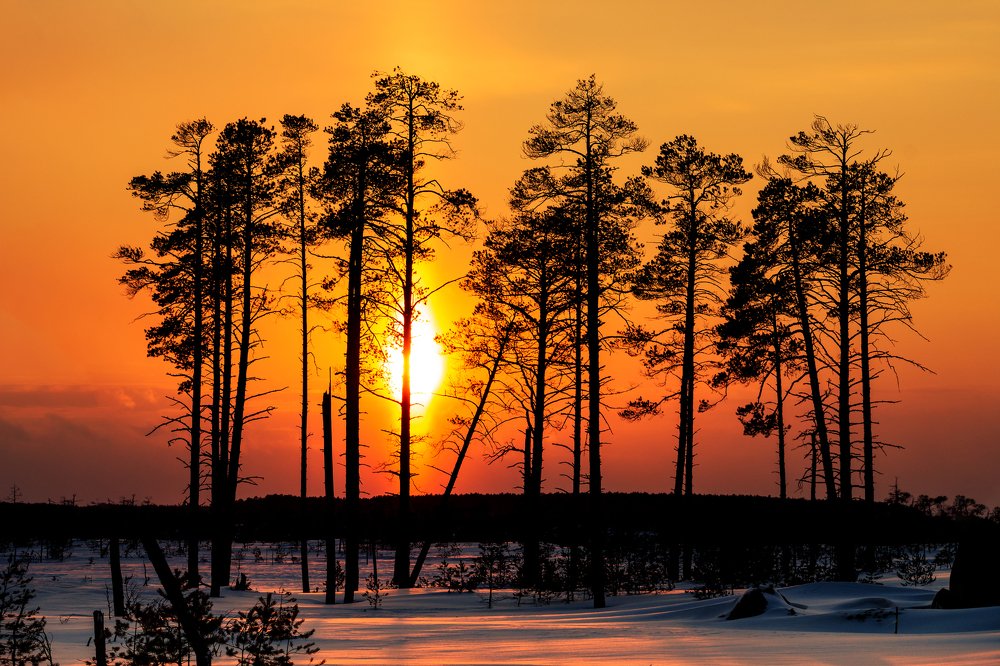 Photograph by Александр Слепцов