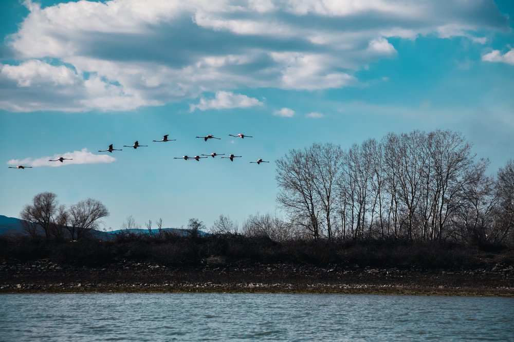 Фотография автора Ivelina Petkova