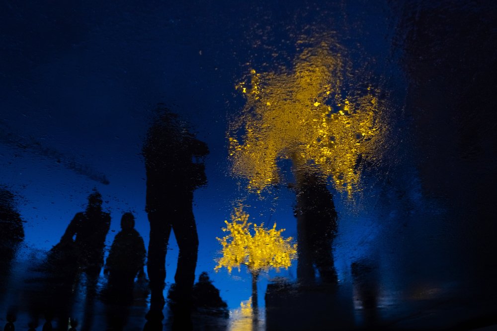 Photograph by Митурская Татьяна