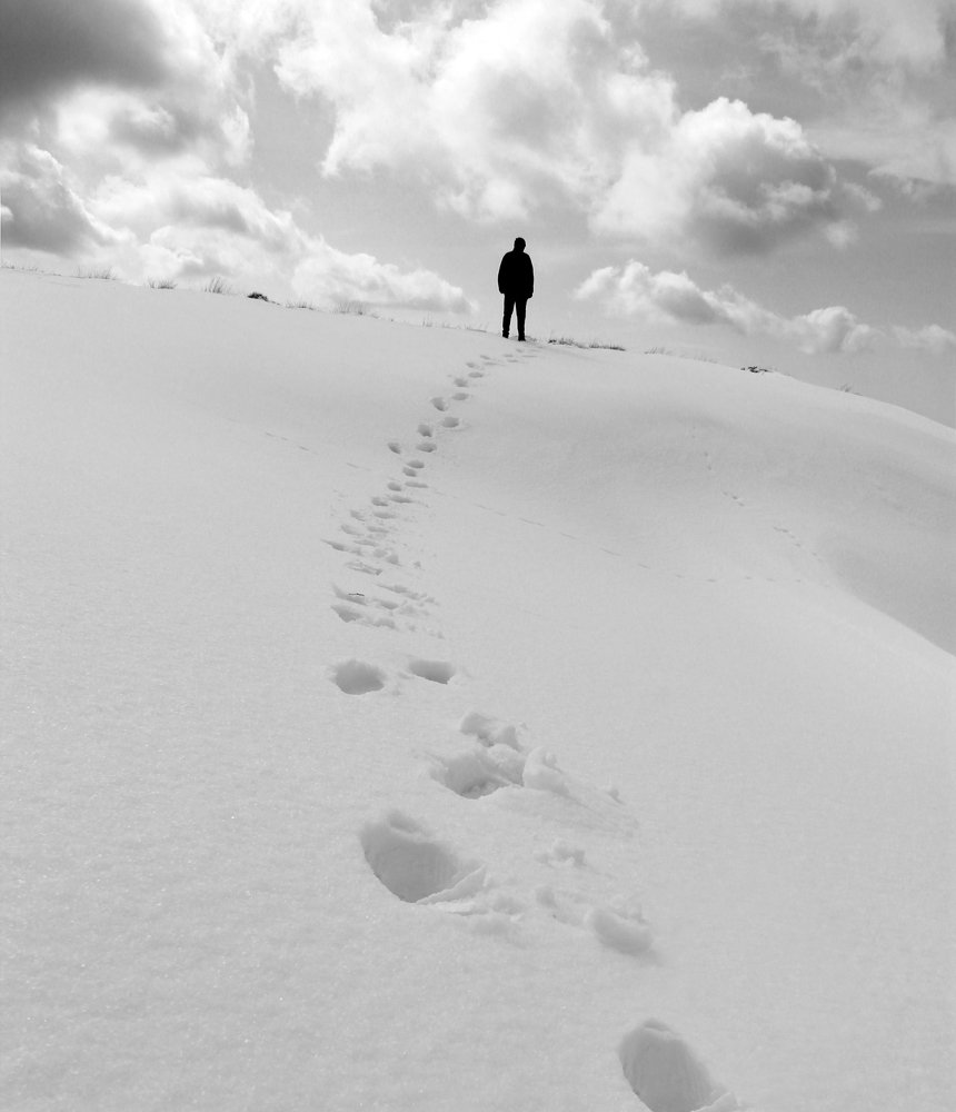 Фотография автора payman Mollaie