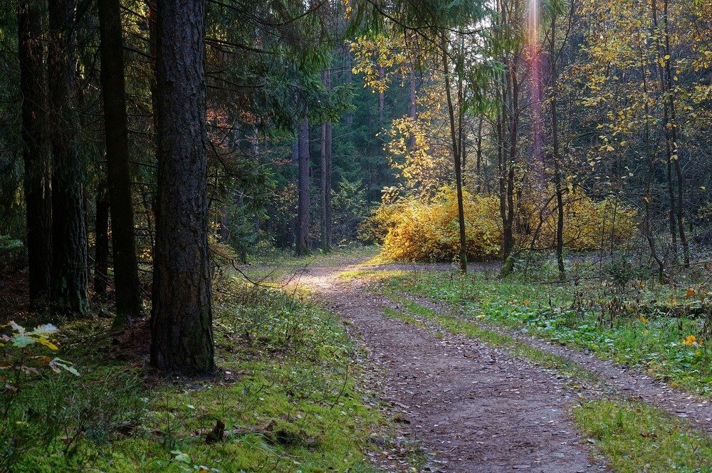 Фотография автора Valery Bel@kov