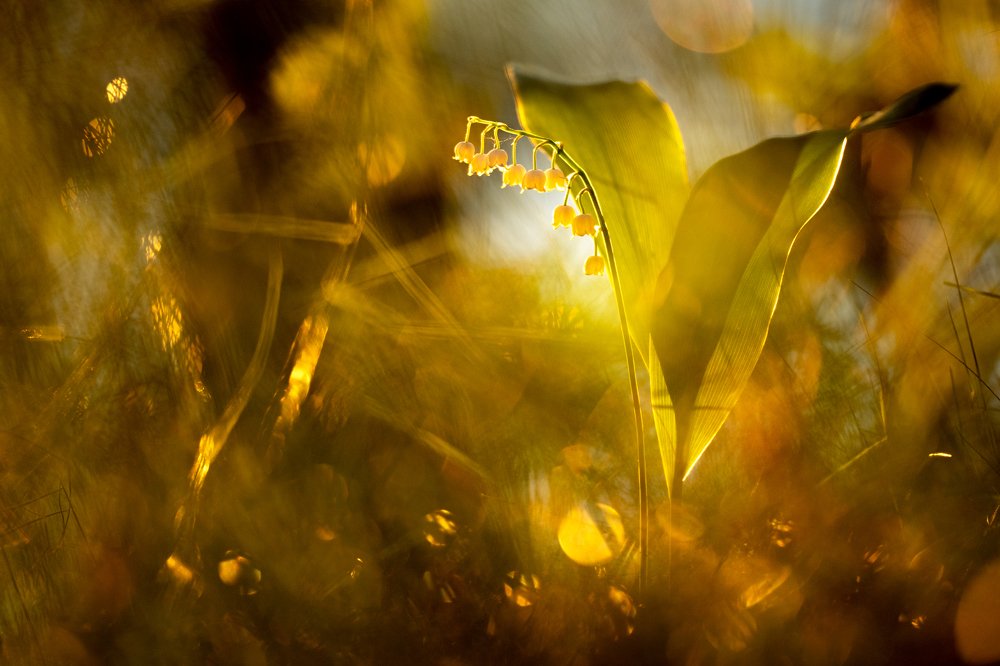 Photograph by Александр Иванов