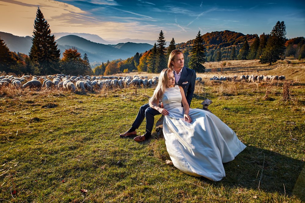 Photograph by  Alin Saga