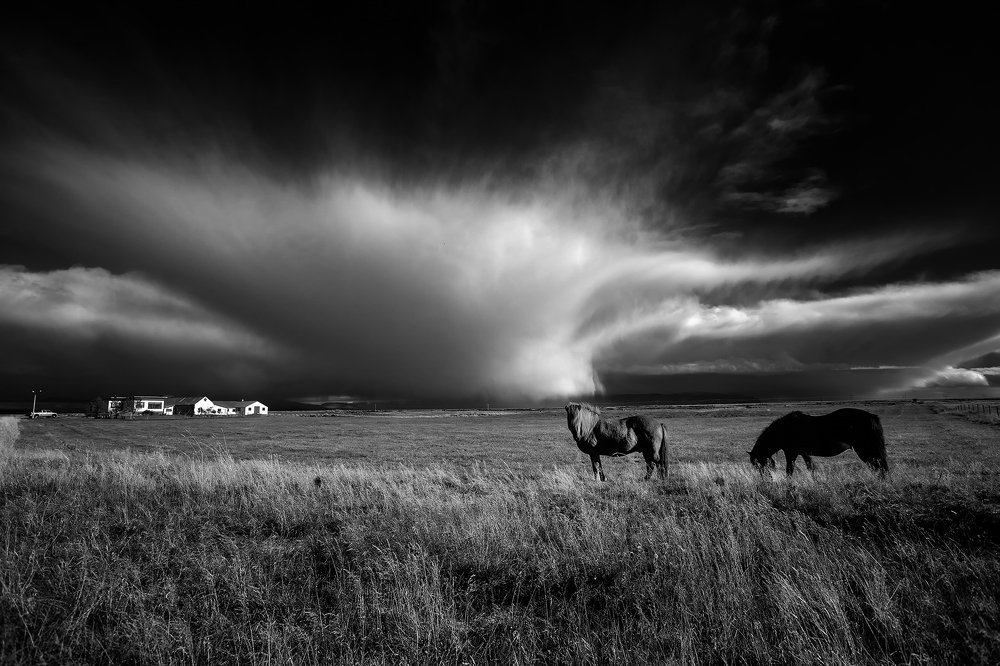 Photograph by Satheesh Chandran