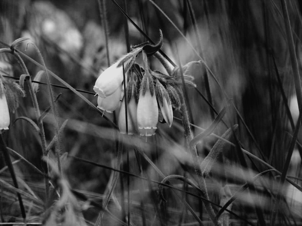 Photograph by Федоренко Элеонора