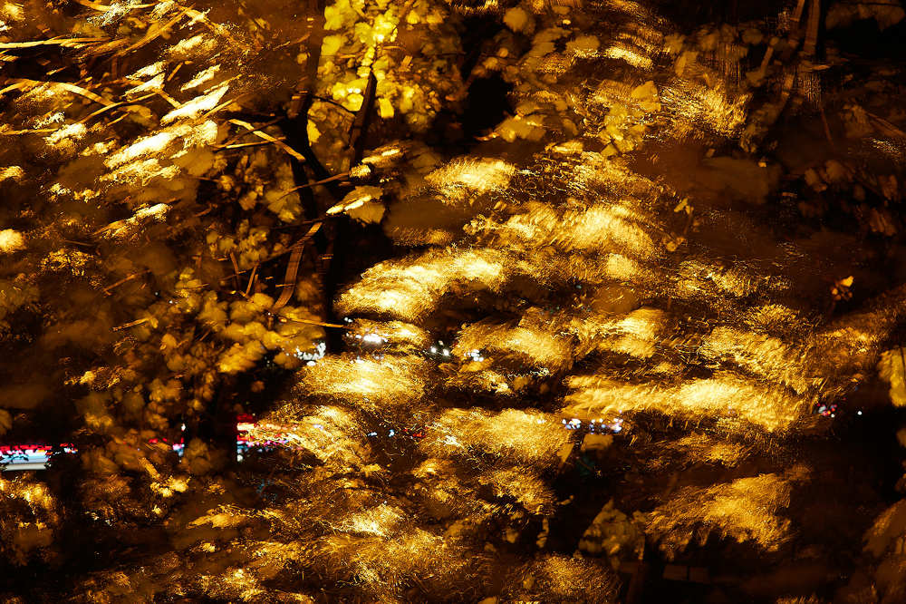 Дыхание осеннего дождя