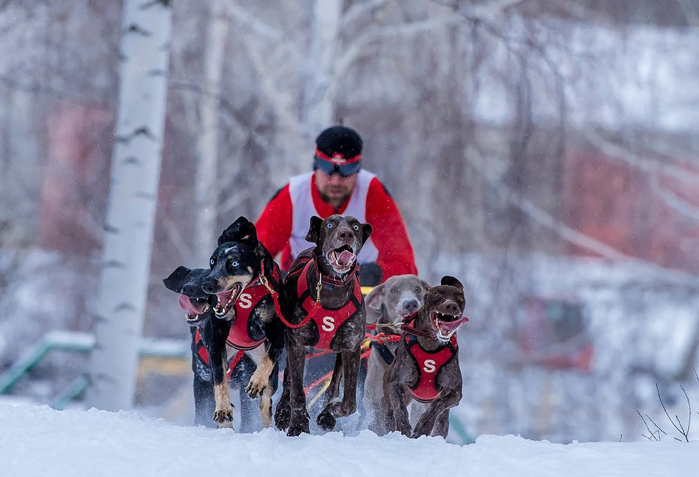 Photograph by Людмила Ковалева
