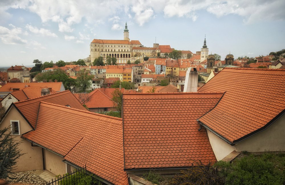 Фотография автора Марина Савчиц