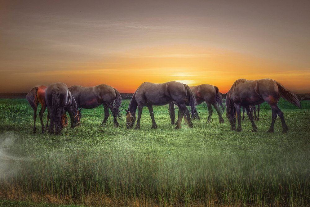 Photograph by Ekaterina Fadeeva