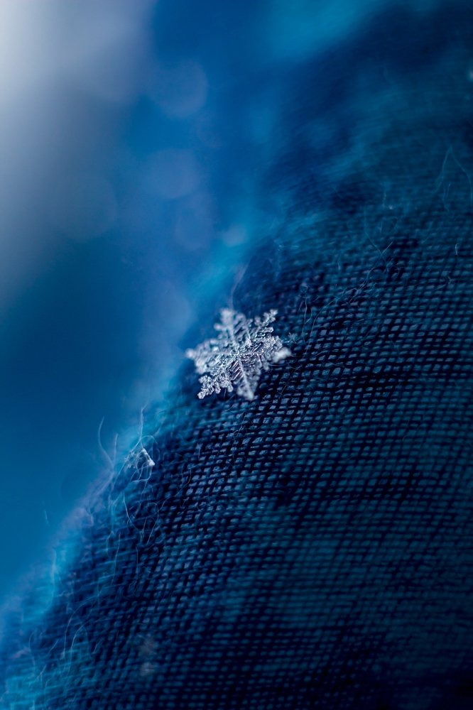 Photograph by Наталья Мищенко