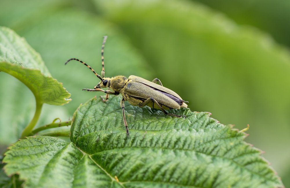 Photograph by Ирина Моросеева