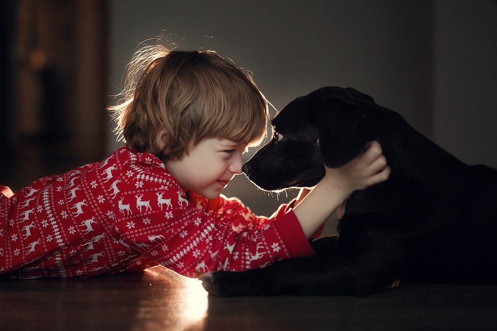 Photograph by Савёлова Екатерина